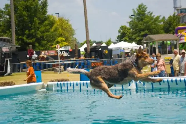 Via Ultimate Air Dogs